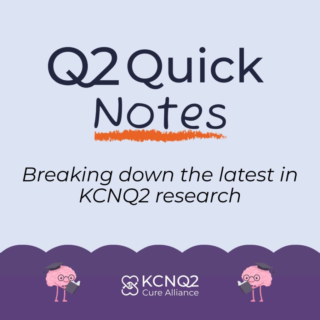 KCNQ2 research updates