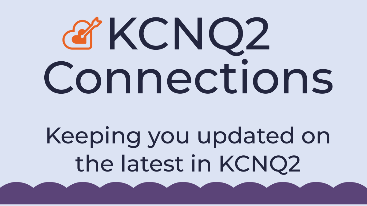 connections default image